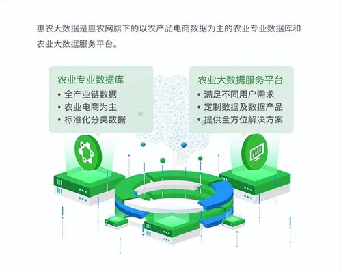 惠农网 数字化产业服务十年助农路，从追赶到超越的数字内容赋能之旅