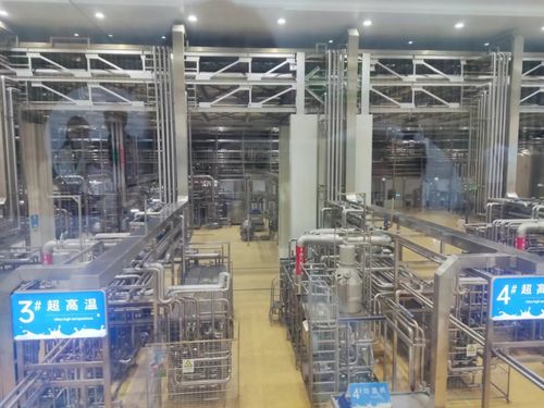 实地参观，见证数字化力量 2024印刷业数字化工厂建设推进会圆满收官